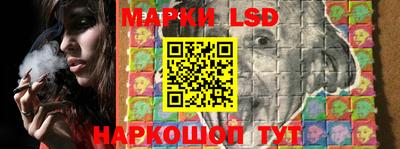 стаф Новозыбков