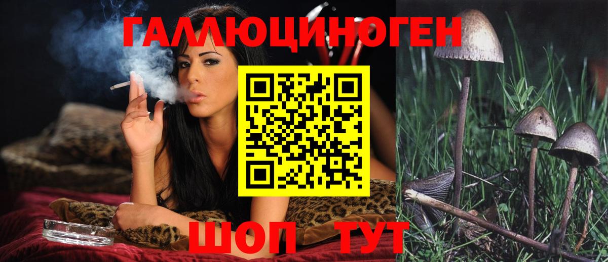 Славянск-на-Кубани  Псилоцибиновые грибы прущие грибы  Вход с VPN 